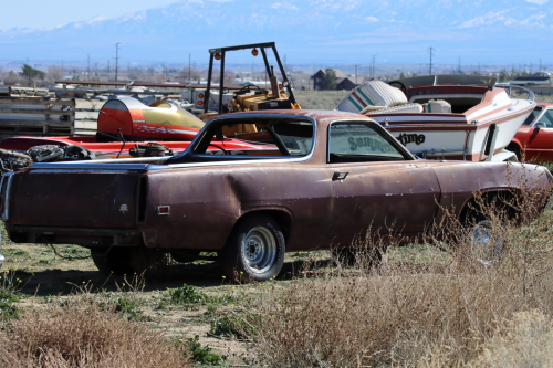 2024-RustyRoadTrip-0149fhd (1)