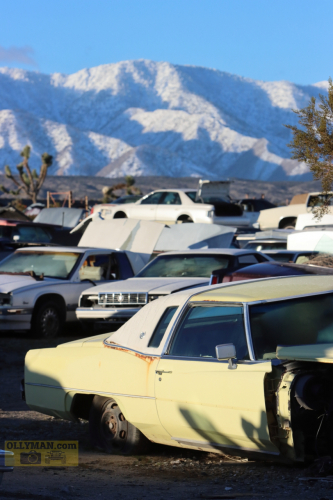 2024-RustyRoadTrip-0164fhd (1)