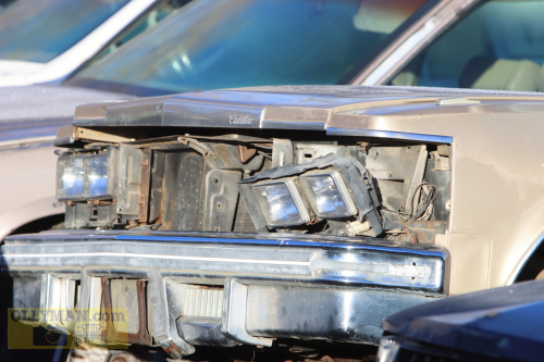 2024-RustyRoadTrip-0166fhd (1)