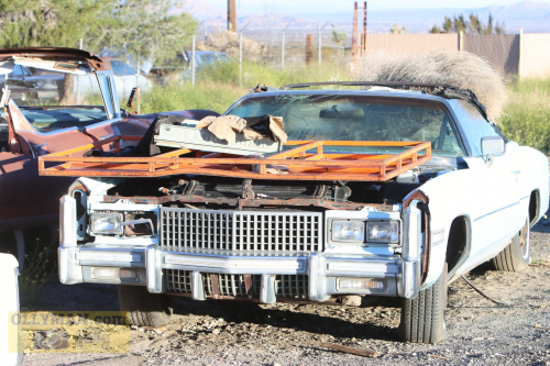 2024-RustyRoadTrip-0171fhd (1)