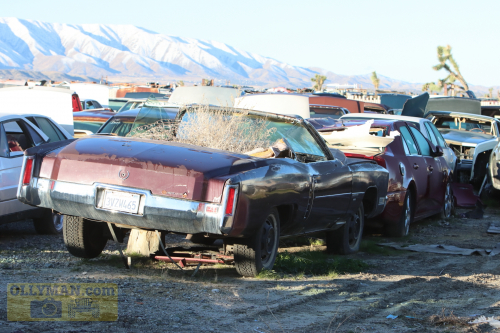 2024-RustyRoadTrip-0175fhd (1)