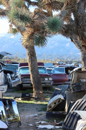 2024-RustyRoadTrip-0176fhd (1)