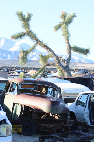 2024-RustyRoadTrip-0182fhd (1)