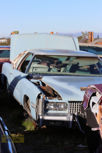 2024-RustyRoadTrip-0183fhd (1)