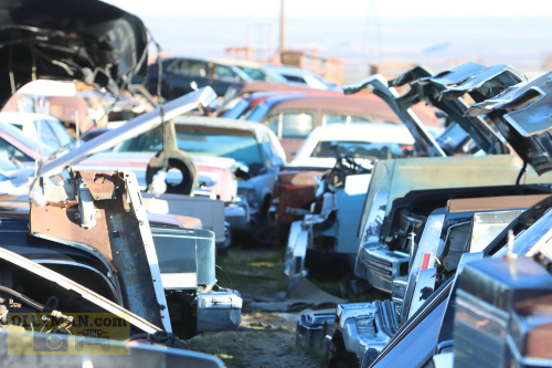 2024-RustyRoadTrip-0186fhd (1)