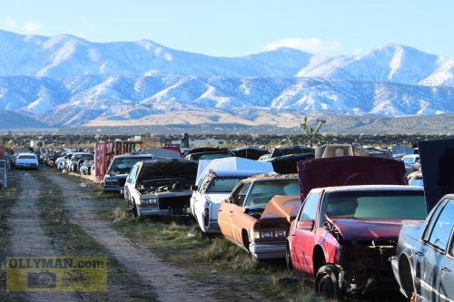 2024-RustyRoadTrip-0188fhd (1)