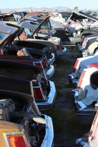 2024-RustyRoadTrip-0189fhd (1)