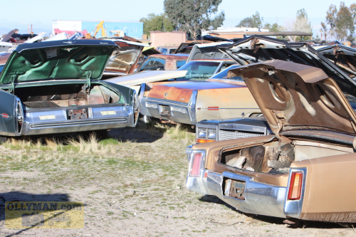 2024-RustyRoadTrip-0190fhd (1)