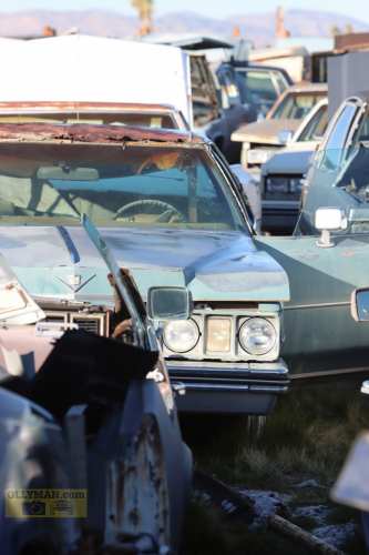 2024-RustyRoadTrip-0191fhd (1)