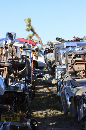 2024-RustyRoadTrip-0194fhd (1)