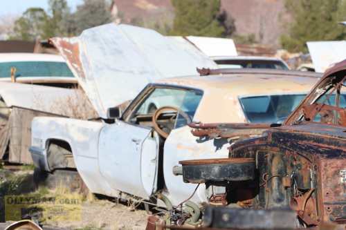 2024-RustyRoadTrip-0195fhd (1)