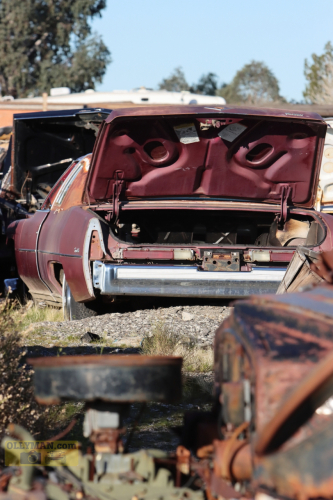 2024-RustyRoadTrip-0197fhd (1)