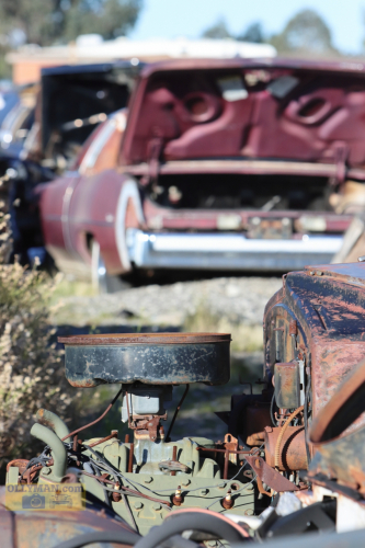 2024-RustyRoadTrip-0198fhd (1)