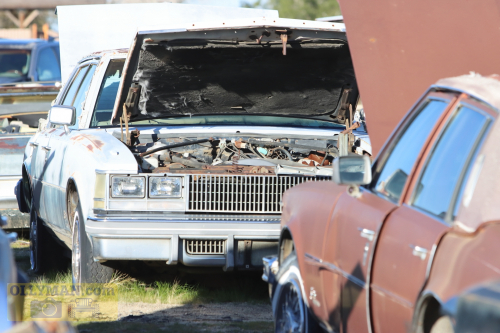 2024-RustyRoadTrip-0200fhd (1)