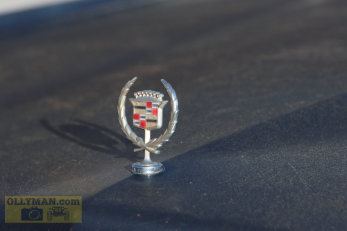 2024-RustyRoadTrip-0201fhd (1)