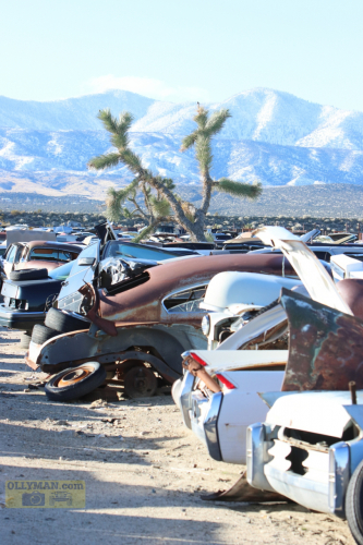 2024-RustyRoadTrip-0209fhd (1)