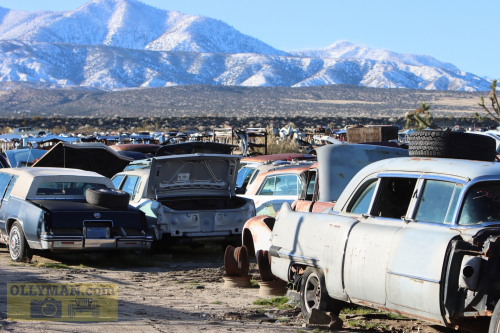 2024-RustyRoadTrip-0215fhd (1)