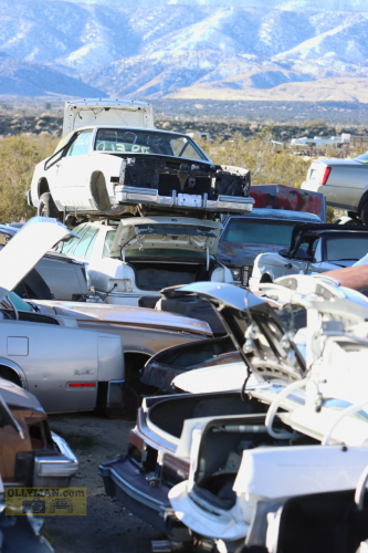 2024-RustyRoadTrip-0220fhd (1)