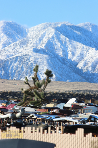 2024-RustyRoadTrip-0221fhd (1)