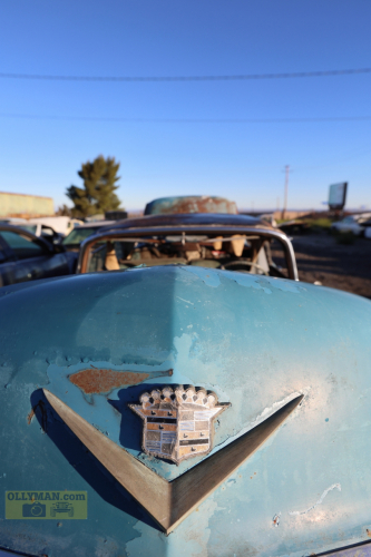 2024-RustyRoadTrip-0229fhd (1)