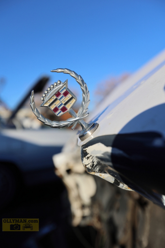 2024-RustyRoadTrip-0234fhd (1)