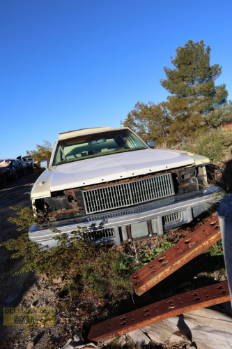 2024-RustyRoadTrip-0235fhd (1)