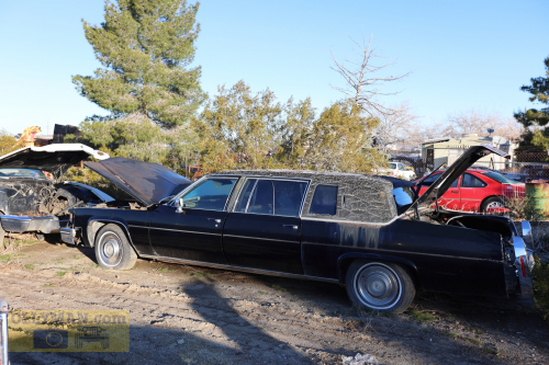 2024-RustyRoadTrip-0236fhd (1)