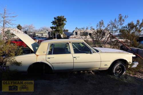 2024-RustyRoadTrip-0237fhd (1)