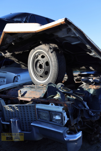 2024-RustyRoadTrip-0245fhd (1)