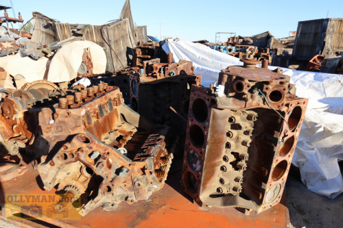 2024-RustyRoadTrip-0246fhd (1)