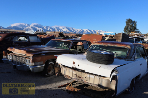 2024-RustyRoadTrip-0247fhd (1)