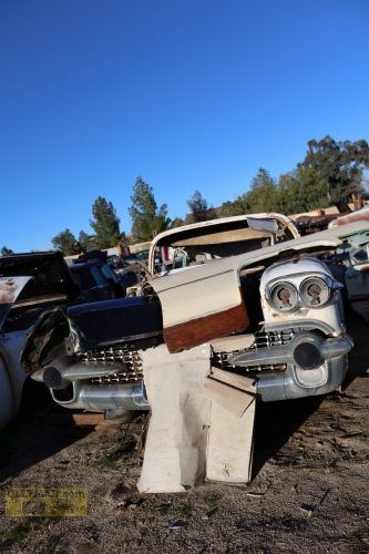 2024-RustyRoadTrip-0248fhd (1)