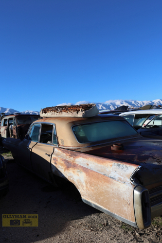 2024-RustyRoadTrip-0255fhd (1)