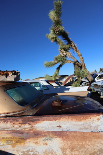 2024-RustyRoadTrip-0256fhd (1)