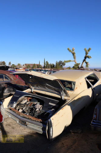 2024-RustyRoadTrip-0258fhd (1)