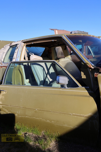 2024-RustyRoadTrip-0259fhd (1)