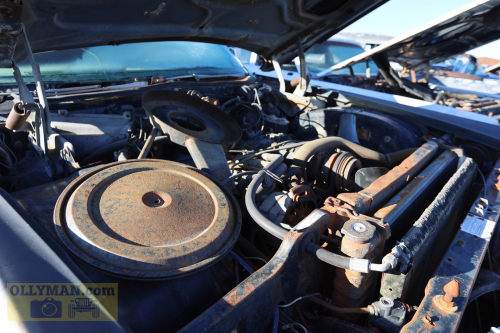 2024-RustyRoadTrip-0260fhd (1)