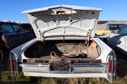 2024-RustyRoadTrip-0264fhd (1)