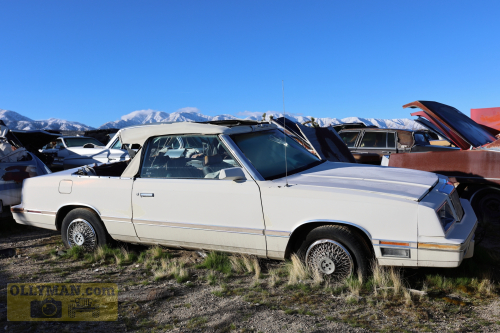 2024-RustyRoadTrip-0266fhd (1)