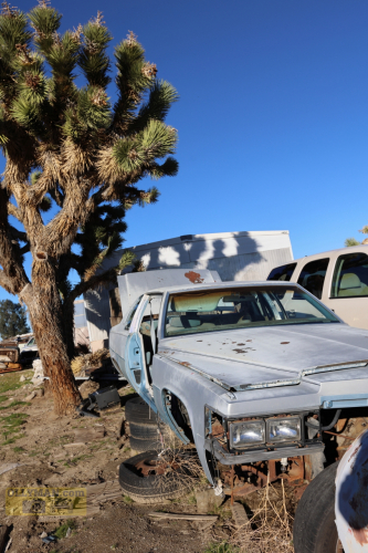 2024-RustyRoadTrip-0273fhd (1)