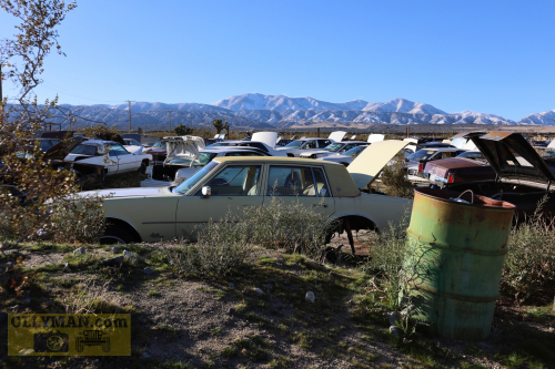 2024-RustyRoadTrip-0278fhd (1)