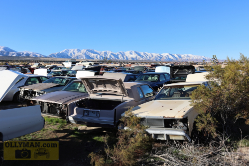 2024-RustyRoadTrip-0279fhd (1)