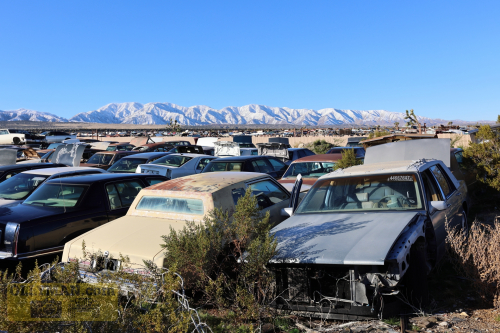 2024-RustyRoadTrip-0280fhd (1)