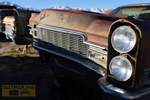 2024-RustyRoadTrip-0282fhd (1)