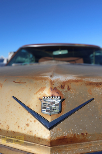 2024-RustyRoadTrip-0284fhd (1)