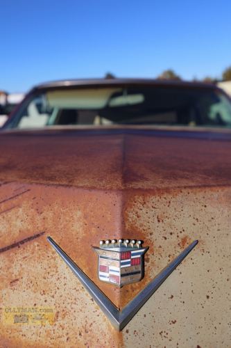 2024-RustyRoadTrip-0285fhd (1)