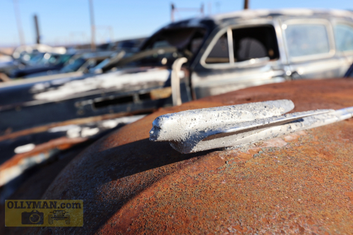 2024-RustyRoadTrip-0287fhd (1)