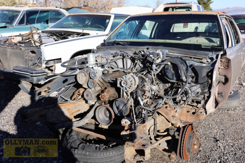 2024-RustyRoadTrip-0290fhd (1)