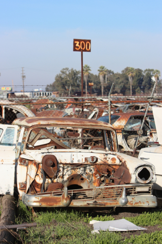 2024-RustyRoadTrip-0456fhd (1)