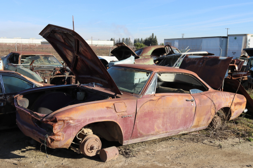 2024-RustyRoadTrip-0467fhd